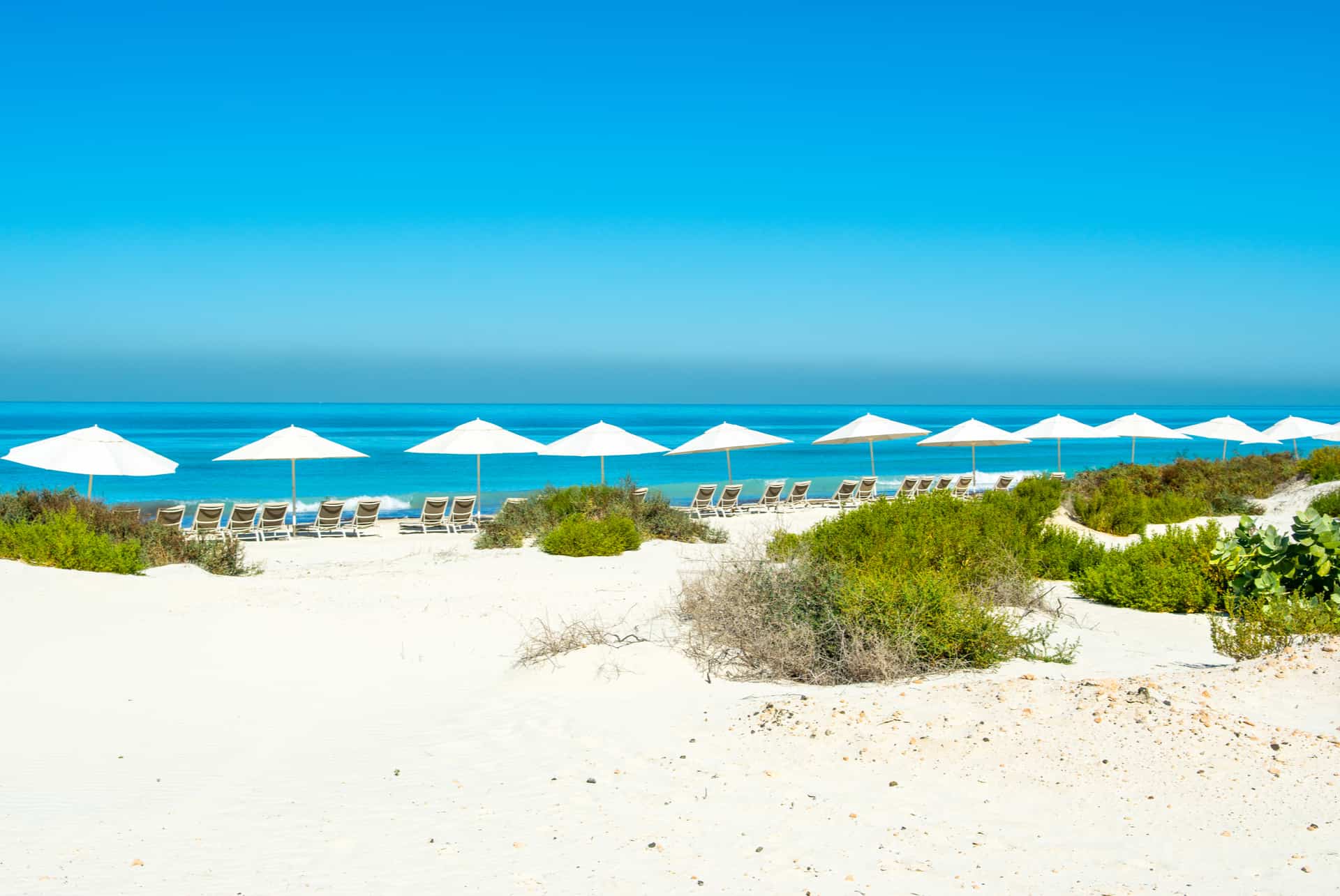 ile de saadiyat ile de saadiyat