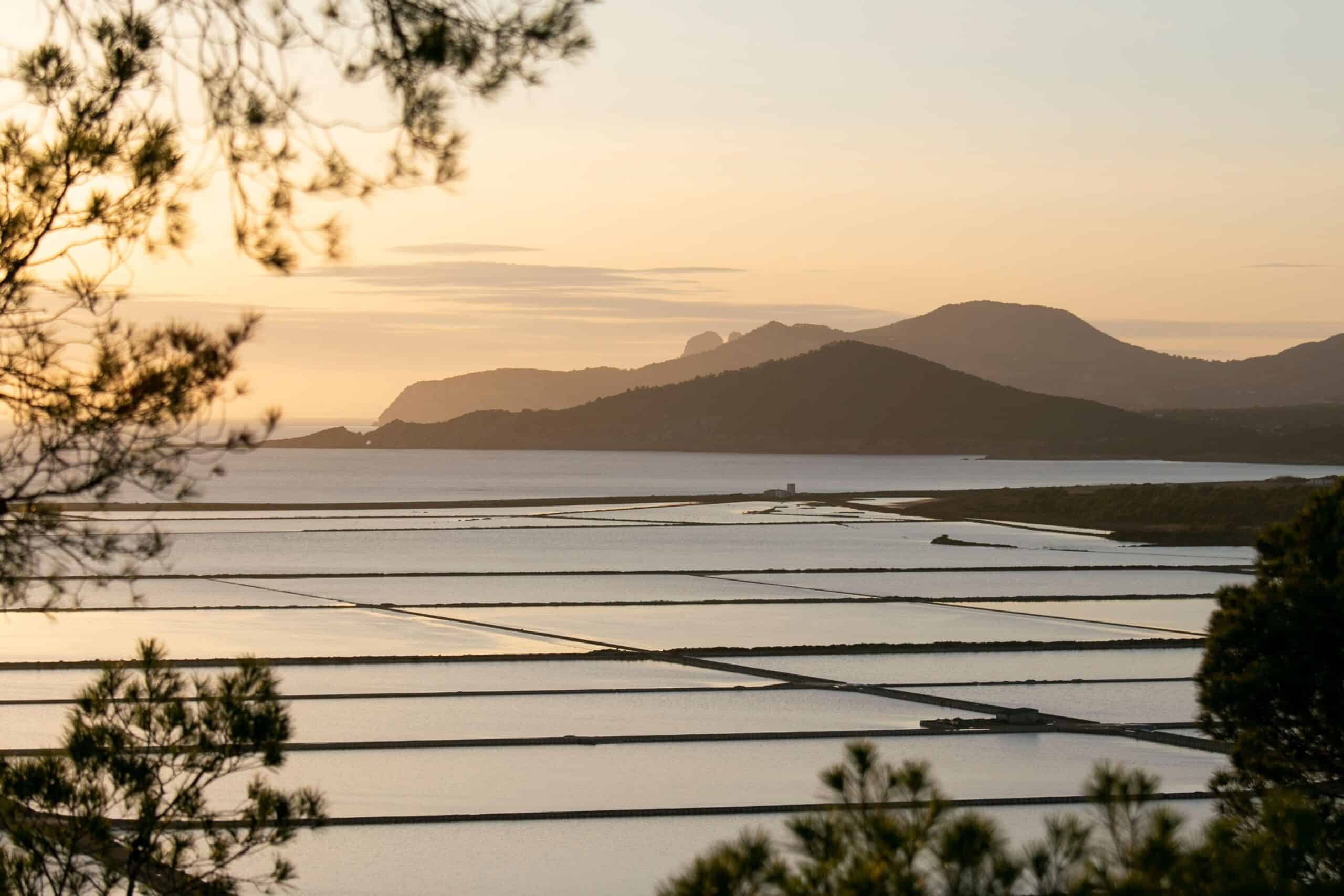 salinas que faire à ibiza