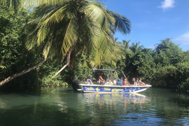 Bateau et plongée à Grand Cul-de-Sac