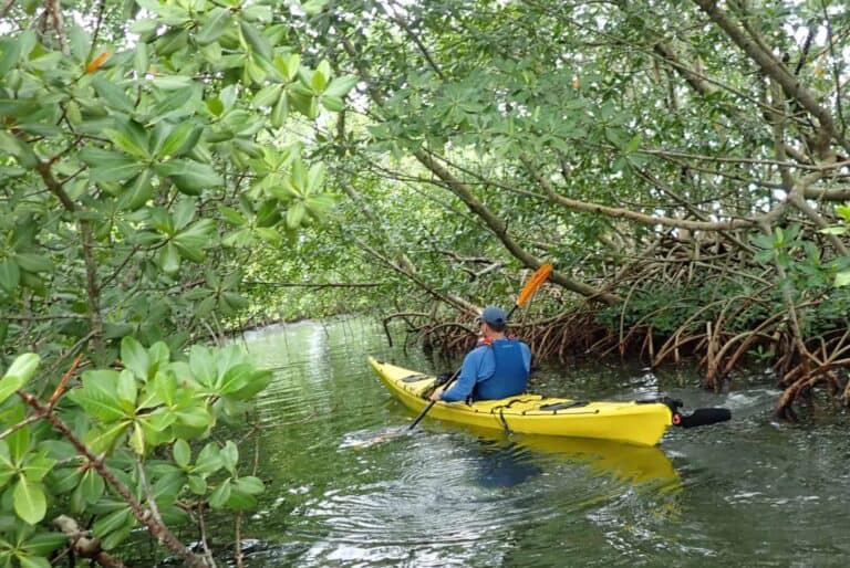 Excursion en kayak de mer